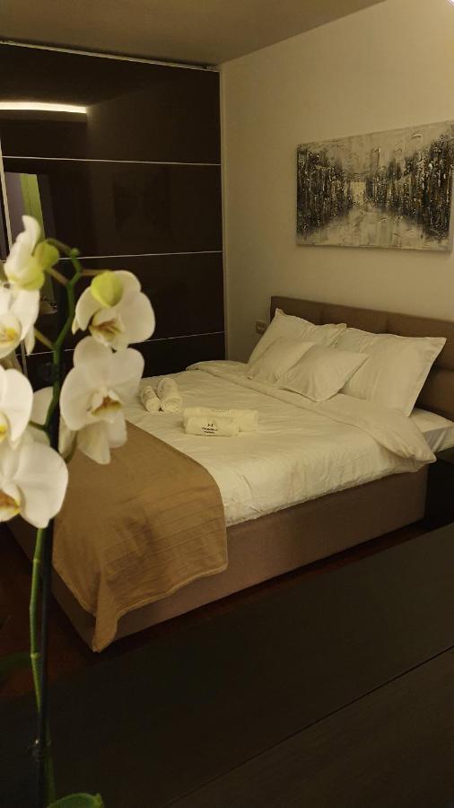 Harmony Apartmani Arandjelovac Dış mekan fotoğraf