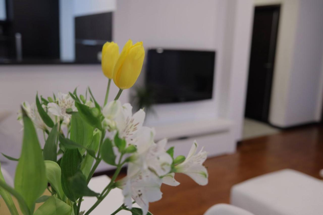 Harmony Apartmani Arandjelovac Dış mekan fotoğraf